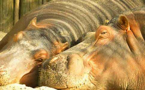 �����ˮ����԰����