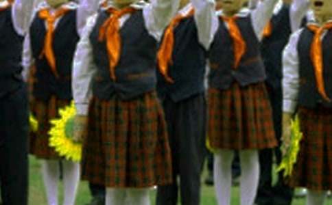 红领巾劳动小能手劳动体会