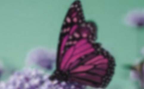 �����Ĺ۲��ռ�