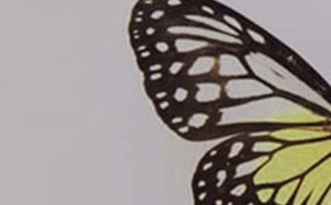 ��Զ�ĺ��������