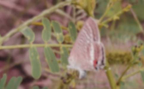 �Լ���������,�����Ż��������Ƽ�