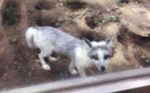 ��ѻ�ͺ���Ĺ���15ƪ����Ʒ��