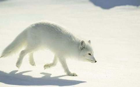 ��ѻ�ͺ���Ĺ��¾�ѡ(15ƪ)