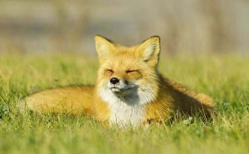 ���������ǵĹ��¡������11ƪ