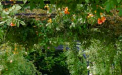 游花园作文15篇(推荐)