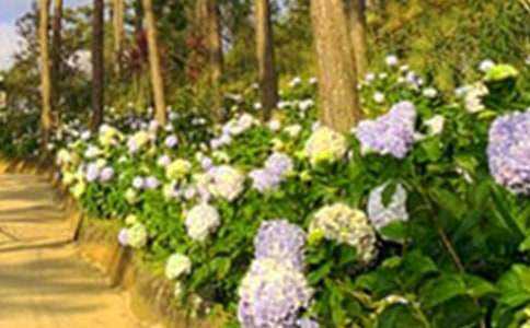 �λ�԰����