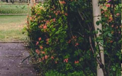 精选花园写景的作文合集8篇