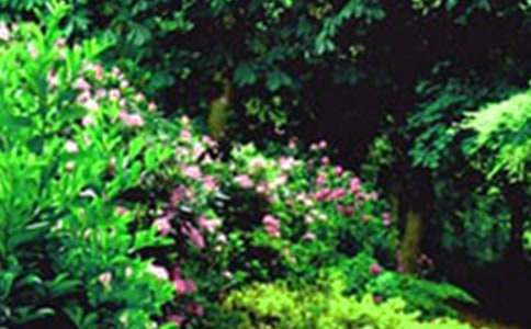 ��ʵ�á��λ�԰����