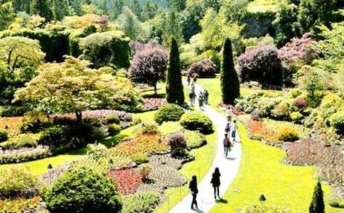 ���ڻ�԰������