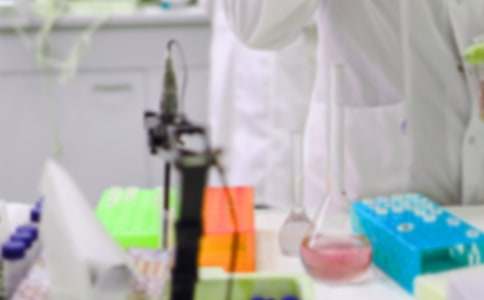 ��ѧ��ѧ�����ƻ�