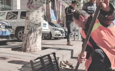 [����]������������15ƪ