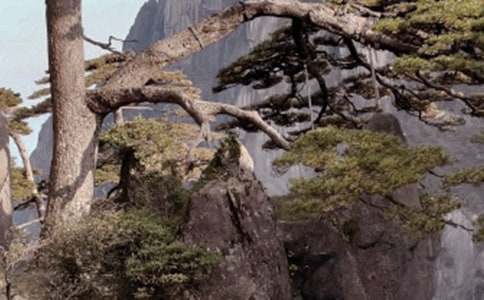 黄山导游词(汇总14篇)