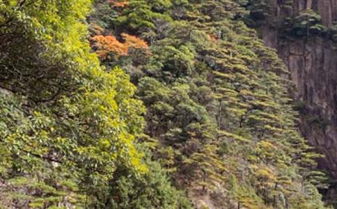 ��ɽ�ĵ��δ�ͨ��15ƪ