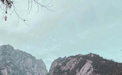 (必备)黄山导游词15篇