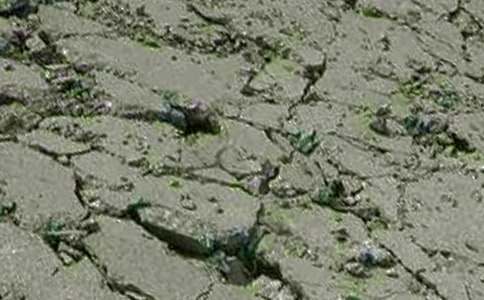 ��������ŵ��