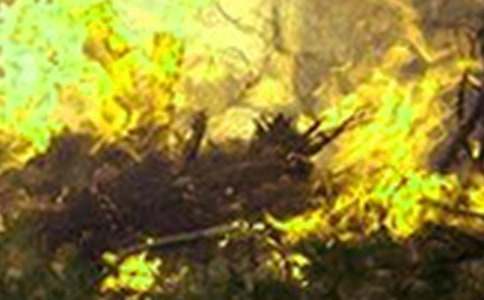 ����Ӧ���ܽ᷶�ģ���ѡ15ƪ��