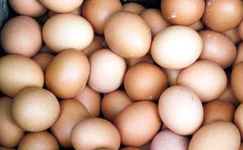 (����)����ļ�������15ƪ