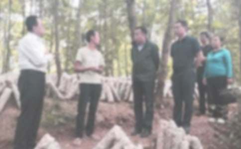 �ͼ첿�����ܽ᷶��