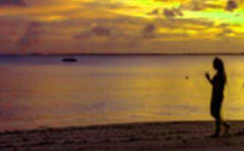 ���ڼ�������600�֣�ͨ��20ƪ��