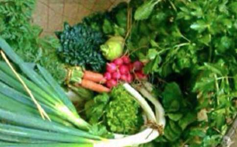 【实用】健康成长作文三篇