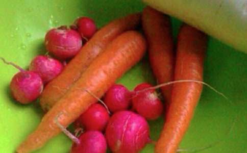 ������ȫ������