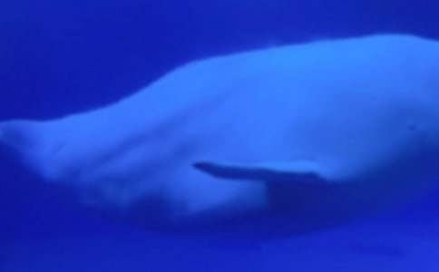 ����������������㣨15ƪ��