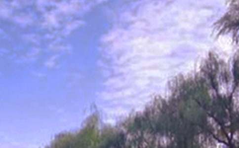 �����ϡ���д��ɫ�Ĵ���15ƪ