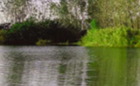 ��д��ɫ�Ĵ���