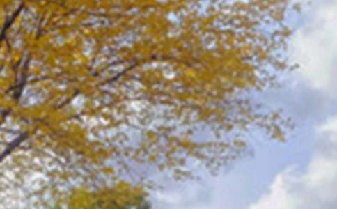 �����㣩��ɫ����600��4ƪ