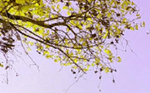 д��ɫ�����ģ����ţ�