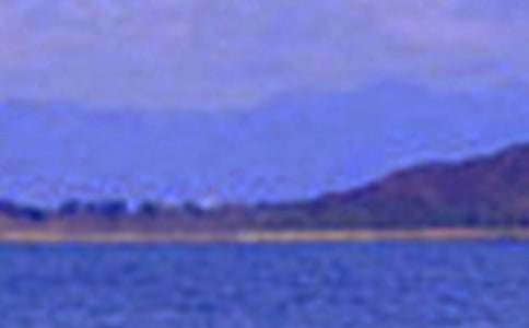 ��д��ɫ�Ĵ���15ƪ[ͨ��]