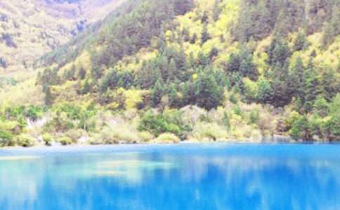 ��կ���ġ�������