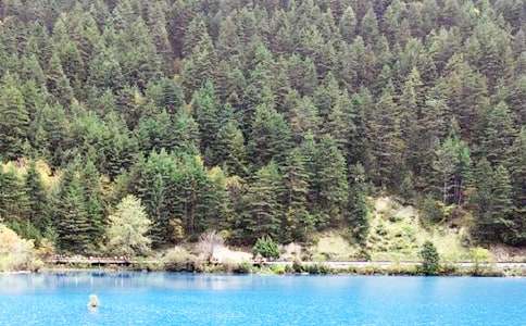 九寨沟游记作文