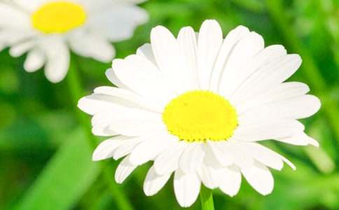 �ջ�״�����ġ����ϡ�