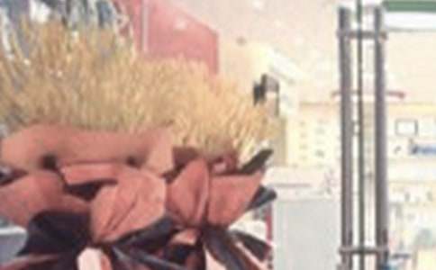 ��ҵ��������(����15ƪ)