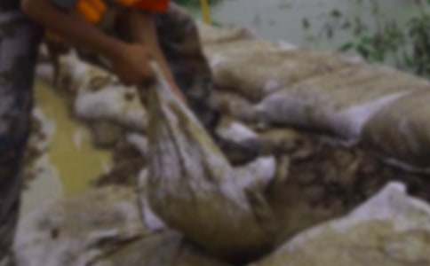 ������ָ��˹���