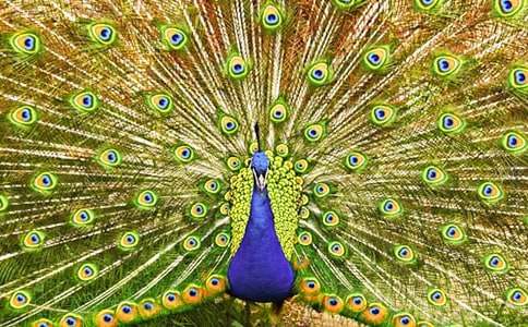 ���ڿ�ȸ���������300��3ƪ