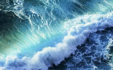 ���˻����̰�