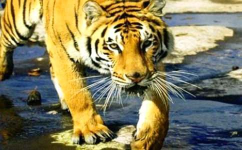 �ϻ�������������400�֣�ͨ��34ƪ��