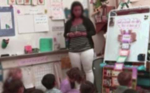 ��ѵ��ʦ���չ����ܽ�