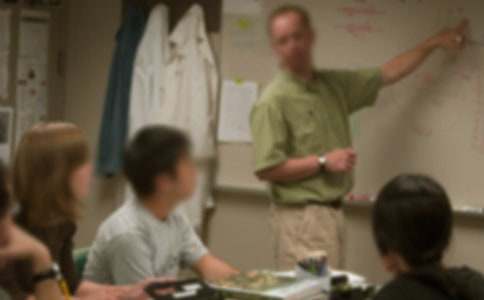 ��ѵ��ʦ�������չ����ܽ�