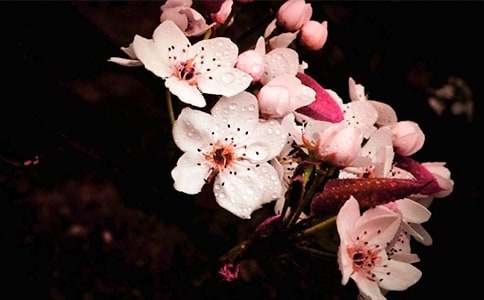 �滨��������600��10ƪ