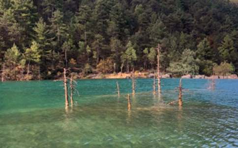 丽江导游词(通用14篇)