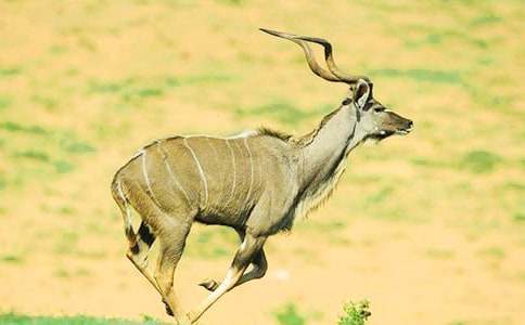 ����ľ�����У���ȫ15ƪ��