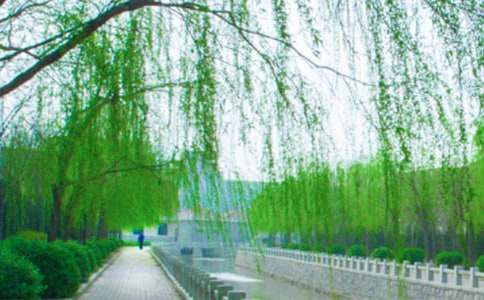 �������꼶����������4ƪ