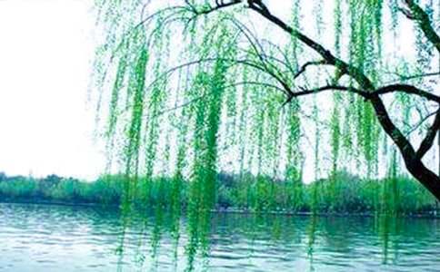 ����������600��9ƪ[����]