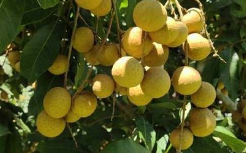 ������������(����12ƪ)