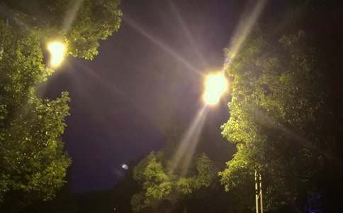 ·�Ʊ��μ�����