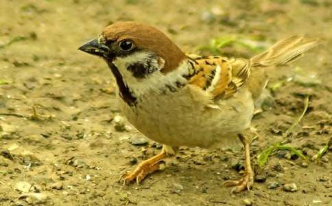 С��ȸ�̰�����6ƪ