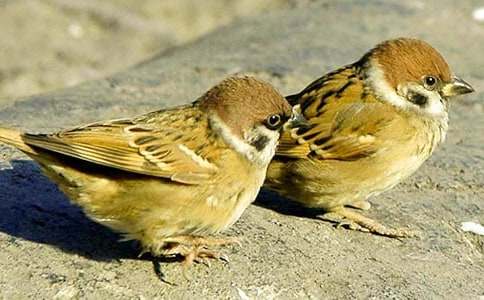 ��ȸ����600������3ƪ